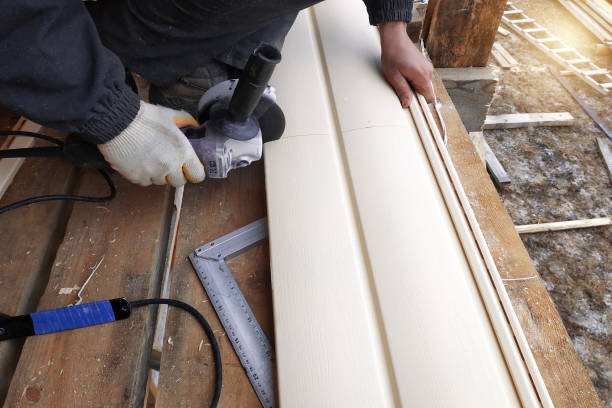 Best Historical Building Siding Restoration  in Williamston, MI